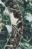 MEMETIC THE APOCALYPTIC TRILOGY DELUXE EDITION HC [SLIPCASE] [9781939867537]